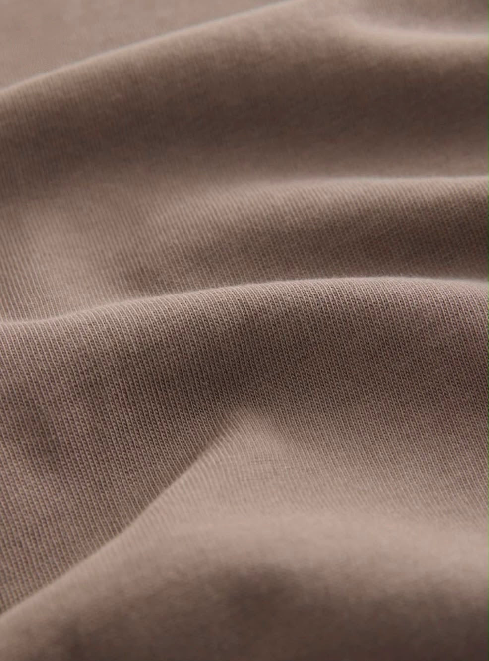 Men's Premium Heavyweight Oversized T-Shirt in Taupe Brown